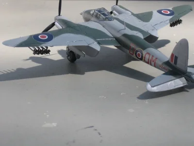 IMG_2976 - Copy.webp