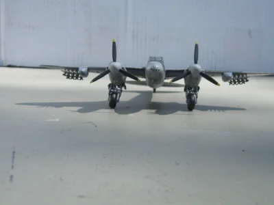 IMG_2979 - Copy.webp