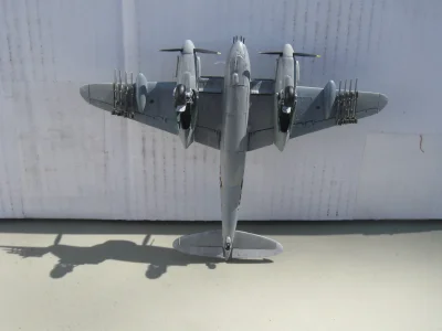 IMG_2980 - Copy.webp