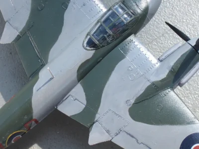 IMG_2981 - Copy.webp