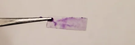 20231228_114107.webp 20231228_114107.webp